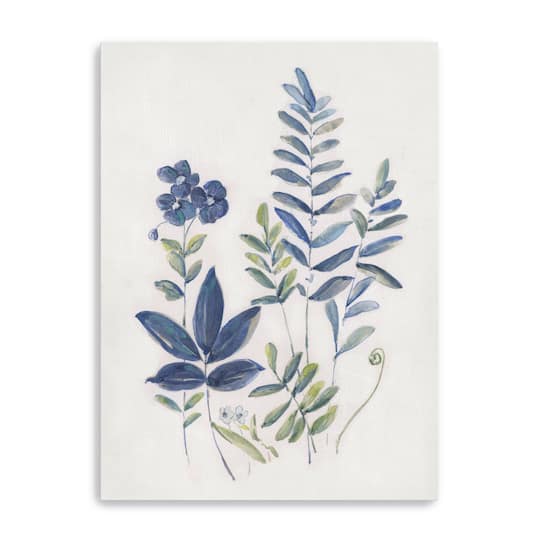 Fern Study I Canvas Giclee